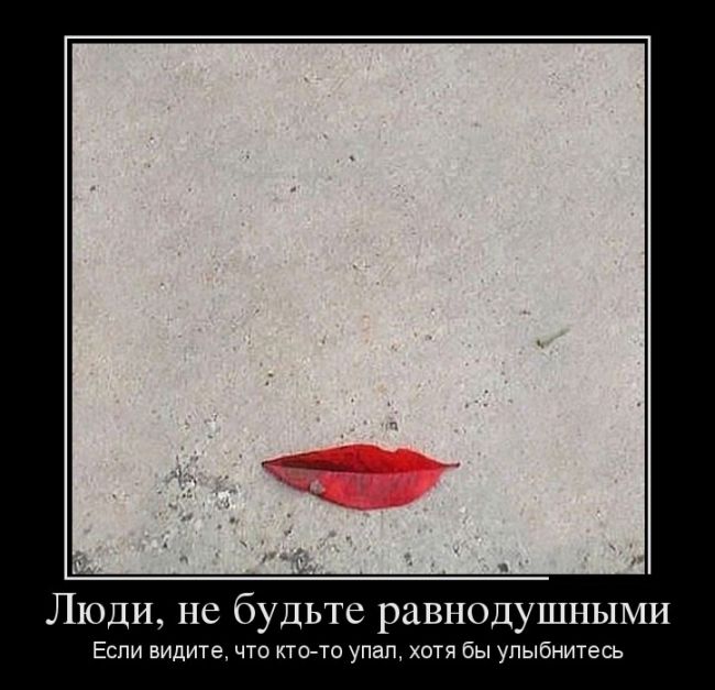 Демотиваторы (30 фото)