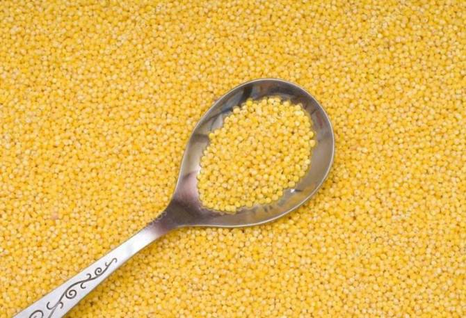 Пшенная каша - спасительница наша!