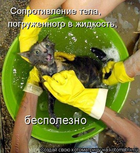 Новая котоматрица для всех (20 шт)