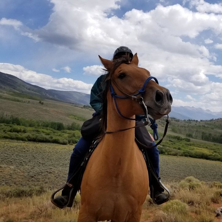 22 снимка, которые должны были быть офигенными, но что-то пошло не так 22 снимка, которые должны были быть офигенными, но что-то пошло не так