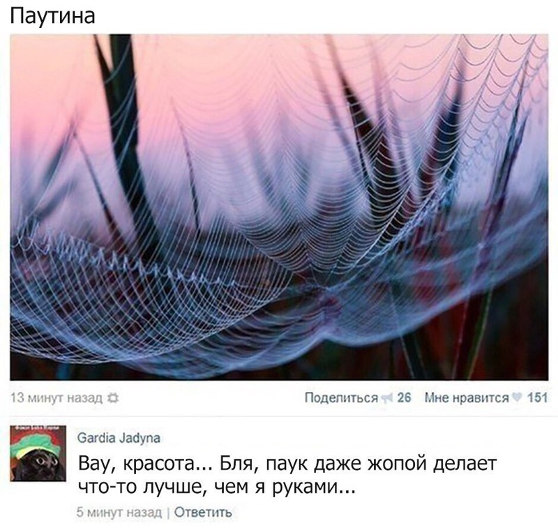 Смешные комментарии и высказывания из социальных сетей высказывания, комментарии, прикол