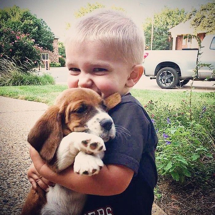 So My Sister Got My 2 Year Old Nephew A Puppy For His Birthday. Needless To Say, It Was Puppy Love At First Sight