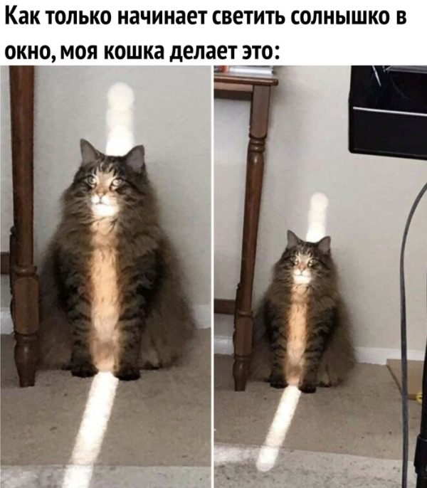 Весенние приколы. Классная ржака! смешные картинки