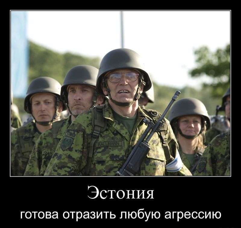 Открытки, эстонцы медлительный народ смешные картинки