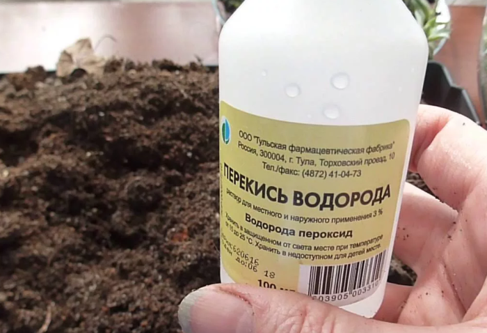 Зачем дачники раскладывают по грядкам газеты, или 9 способов упростить садоводство 