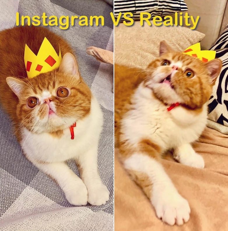 15 фактов того, что нельзя верить фотографиям в социальных сетях 