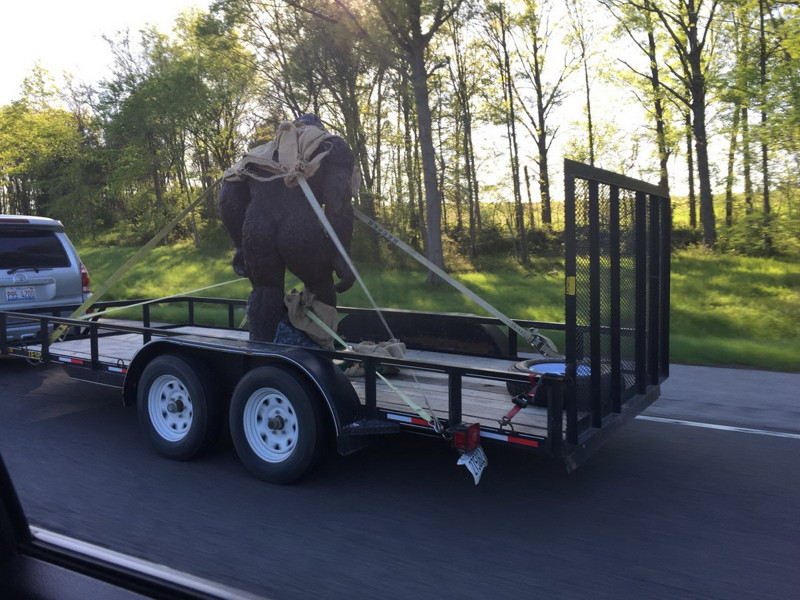 Кто там говорил, что снежного человека не существует? автомобили, грузы, дорога, прикол, юмор