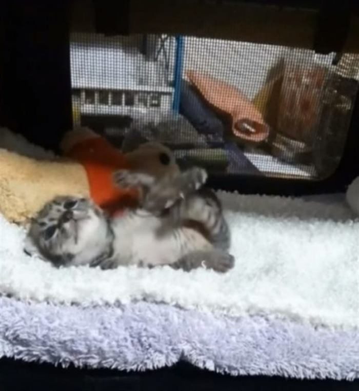 Спасение от одиночества Спасение от одиночества