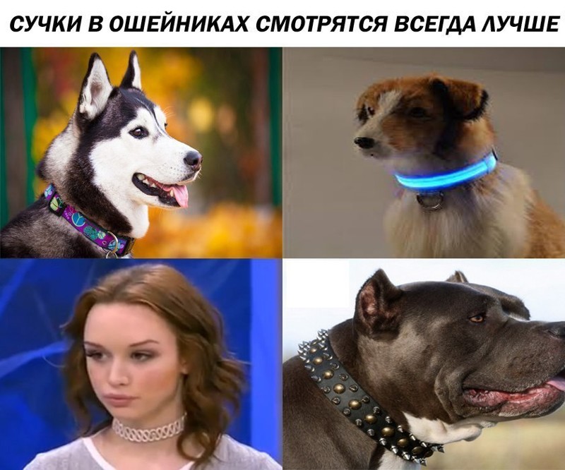 Смешные картинки с надписями прикол, юмор