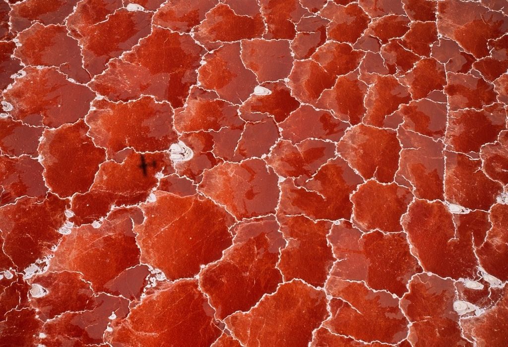 Красное озеро Натрон (Lake Natron)