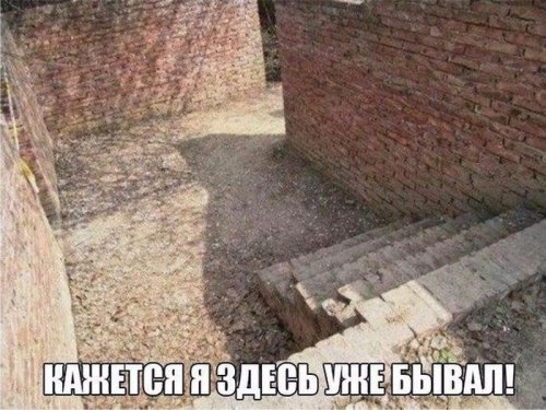 Прикольные картинки скрасят понедельник (40 шт)