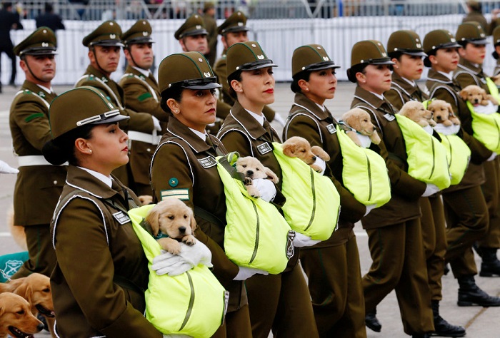 20 самых странных фотографий 2018 года по версии агентства Reuters фотография