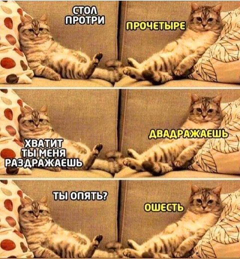 Ловите свежую порцию юмора Ловите свежую порцию юмора