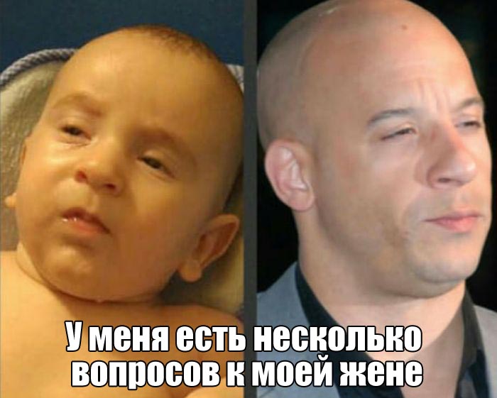 Смешные и веселые картинки с надписями со смыслом (11 фото)