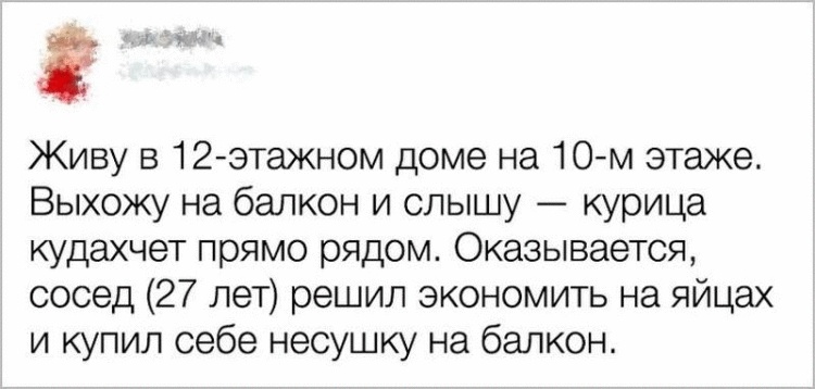 Жизненные примеры настоящей вражды между соседями 