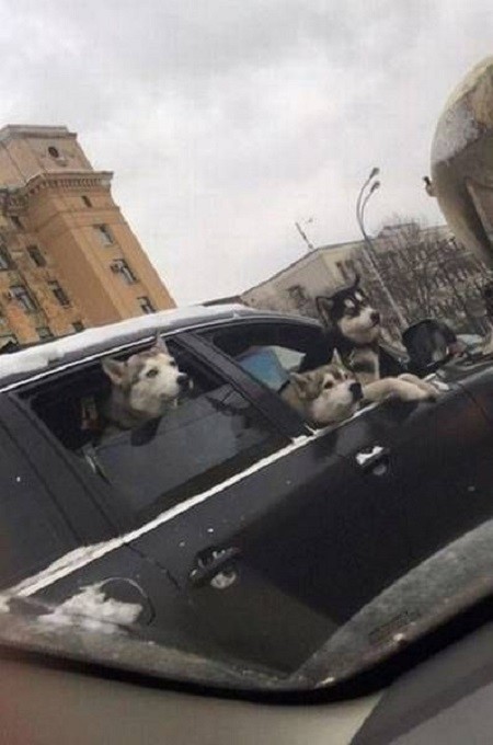 Иностранцы завистливо зовут ее «Russia» 