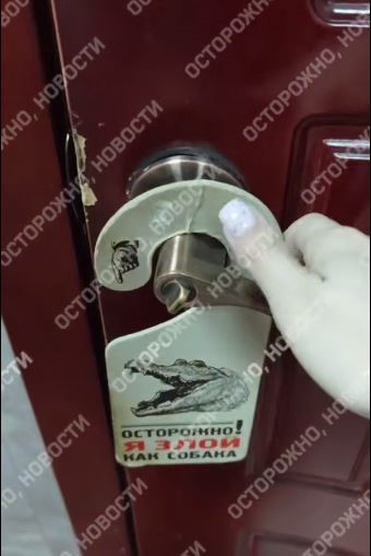 В Обнинске крокодил не в зоопарке — он в HR-отделе (по совместительству)