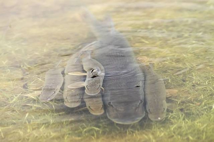 Подборка картинок. Дневной выпуск (51 фото)