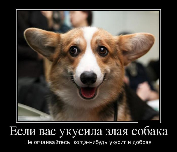 Похожее изображение