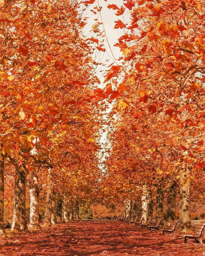 Пейзажи со всего мира, от которых не оторвать глаз