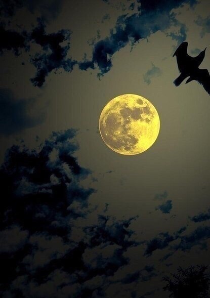 Классные и прикольные фотографии Классные и прикольные фотографии красивые фотографии,прикольные картинки,шикарные фотографии