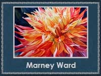 Marney Ward 