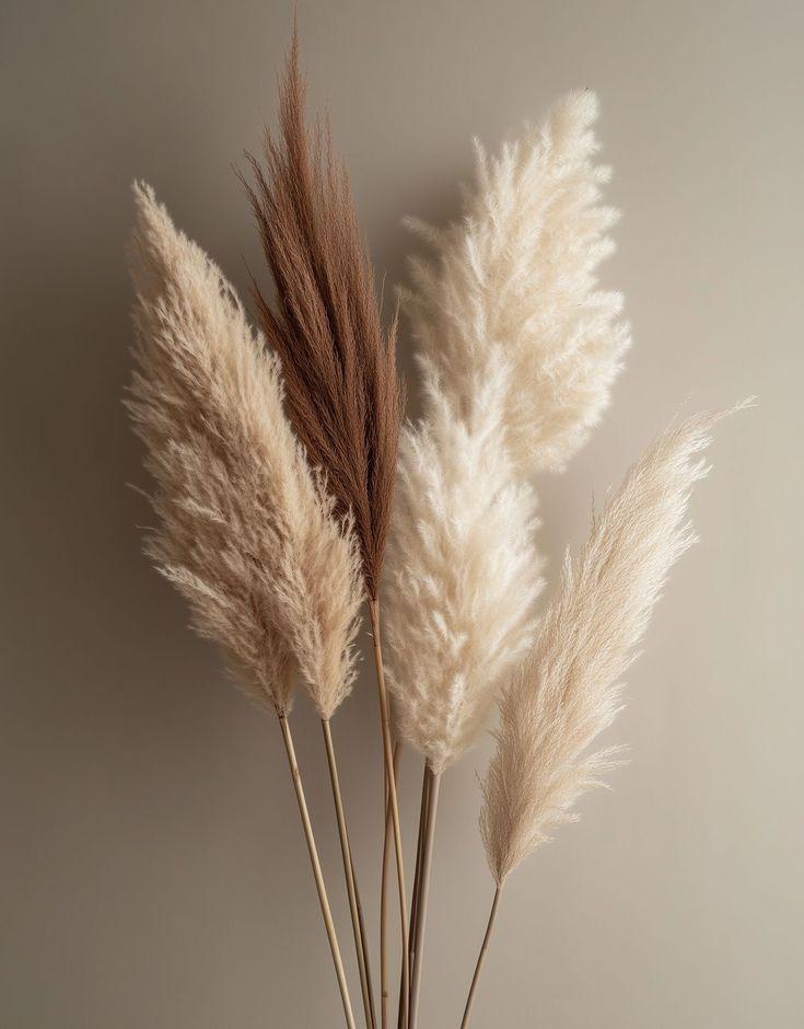 Мимозы, тюльпаны и еще 6 смертельно опасных для кошек цветов кошек, опасны, может, цветы, листья, также, содержат, букеты, судороги, координации, нарушение, очень, части, симптомы, питомцев, цветки, стебли, стоит, марта, рвота