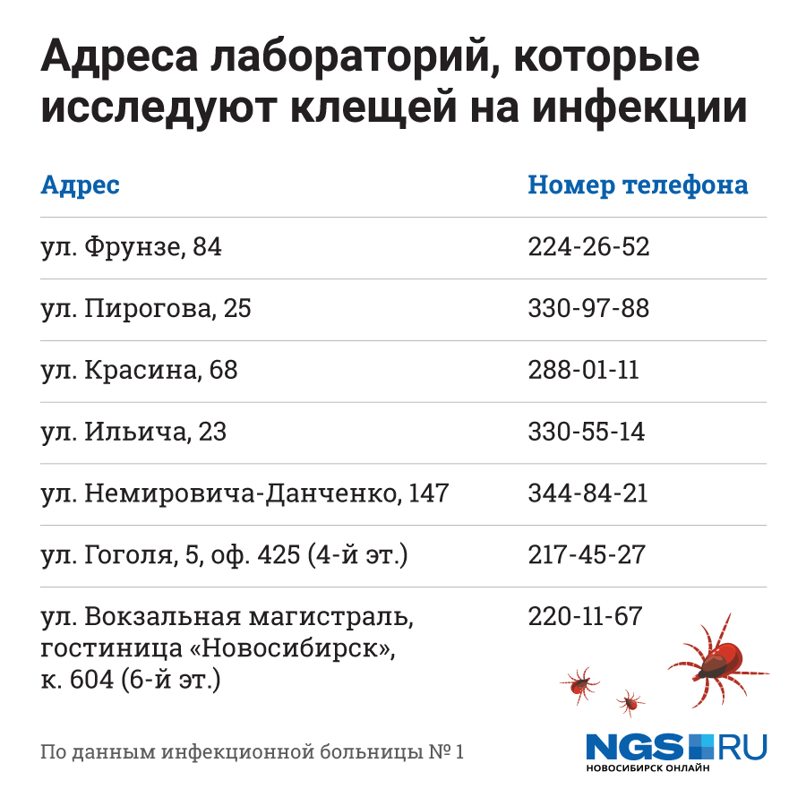 Лаборатория для проверки клещей. Исследование клеща на боррелиоз. Смд анализ клеща. Смд анализ клеща. Смд анализ клеща.