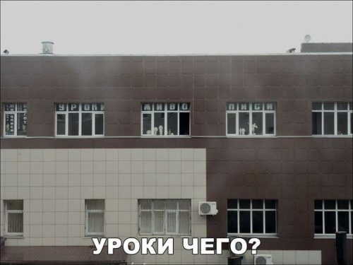 Самые прикольные фотомемы дня!
