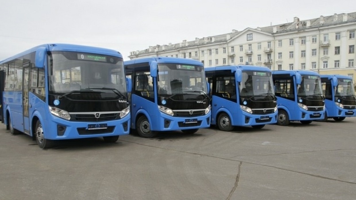 Северодвинск транспорт. ПАЗ вектор Некст полиция. Автобус вектор Некст пассажирский. Воронеж. Автобусы Северодвинск. Новый автобус от фирмы ПАЗ.