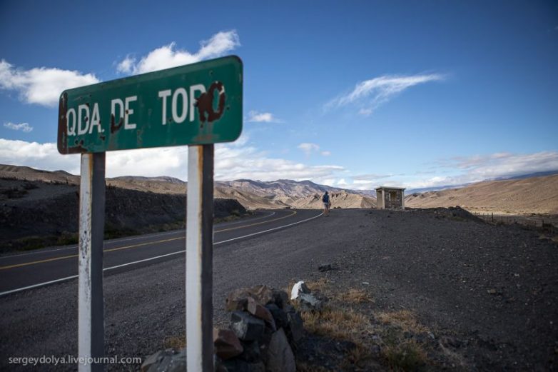 Пожалуй, лучшая автобусная остановка в мире Пожалуй, лучшая автобусная остановка в мире
