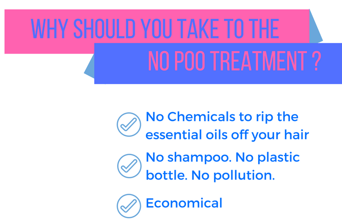 The No Poo No Shampoo Method Experiment Treatment 
