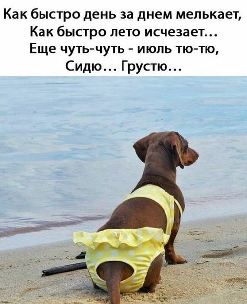 Подборка смешных картинок из интернета 