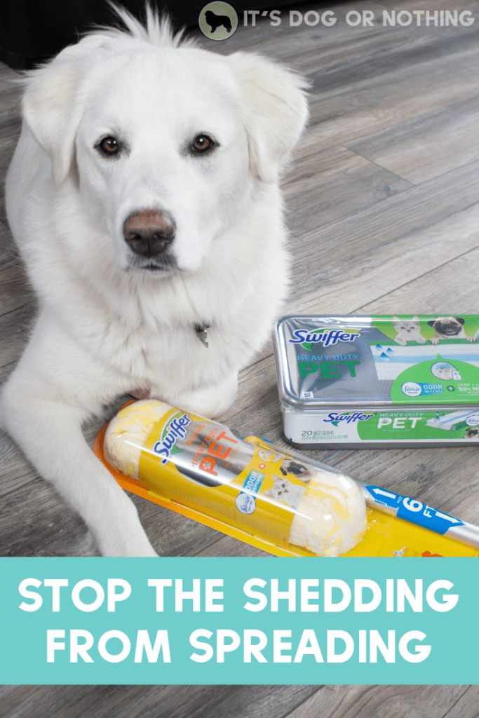 3 Great Pyrenees + 1 cat + PNW weather = disaster. Here's how we stop the shedding from spreading and keep the house (somewhat) presentable.