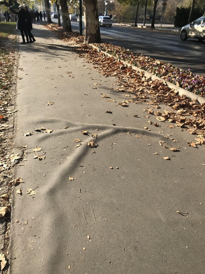 Фотоподборка 