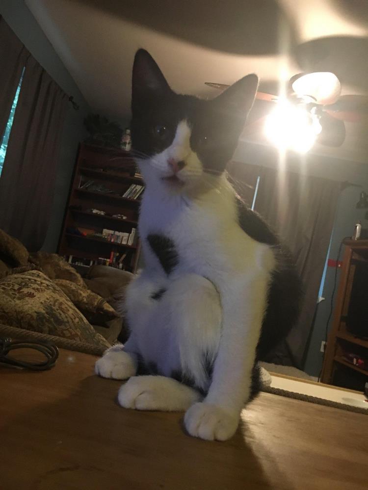 25 странных и абсурдных вещей, которые способны заставить нас усомниться в реальности 25 странных и абсурдных вещей, которые способны заставить нас усомниться в реальности