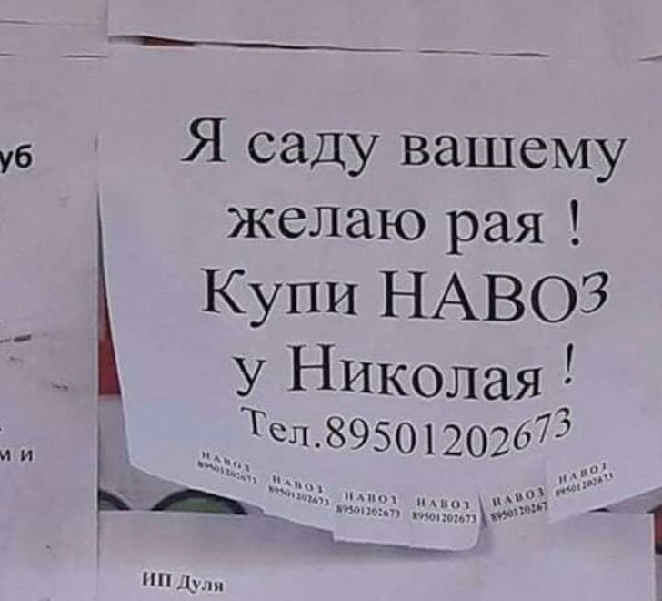 18 смешных объявлений, которые непредсказуемы, как жизнь в России 