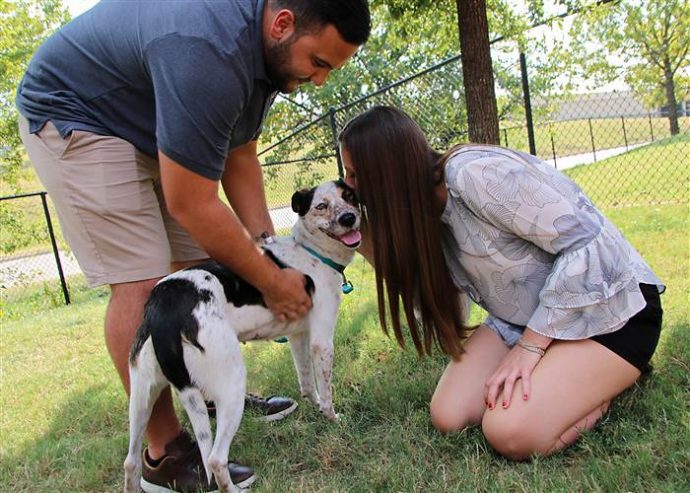 adopted-dog-today-170923-inline-03_311d206e023a0ae83f6cd6e7e1ee4e65.today-inline-large