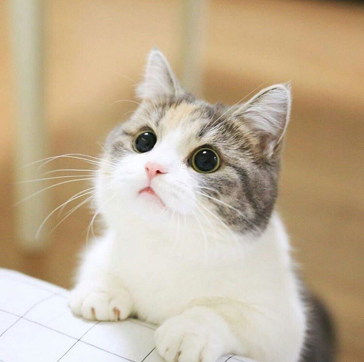 Красивые фотографии и картинки из сети 