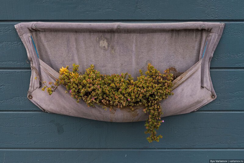 Как американцы проектируют улицы Как американцы проектируют улицы