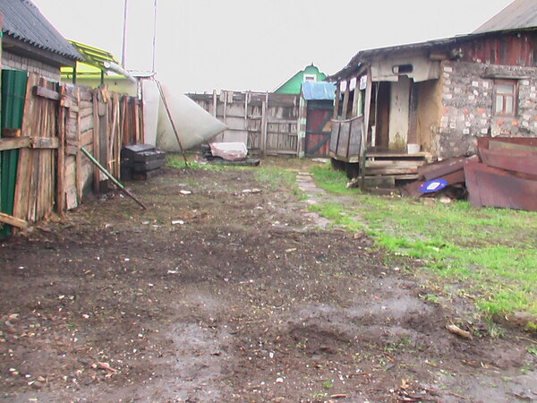 2011 год