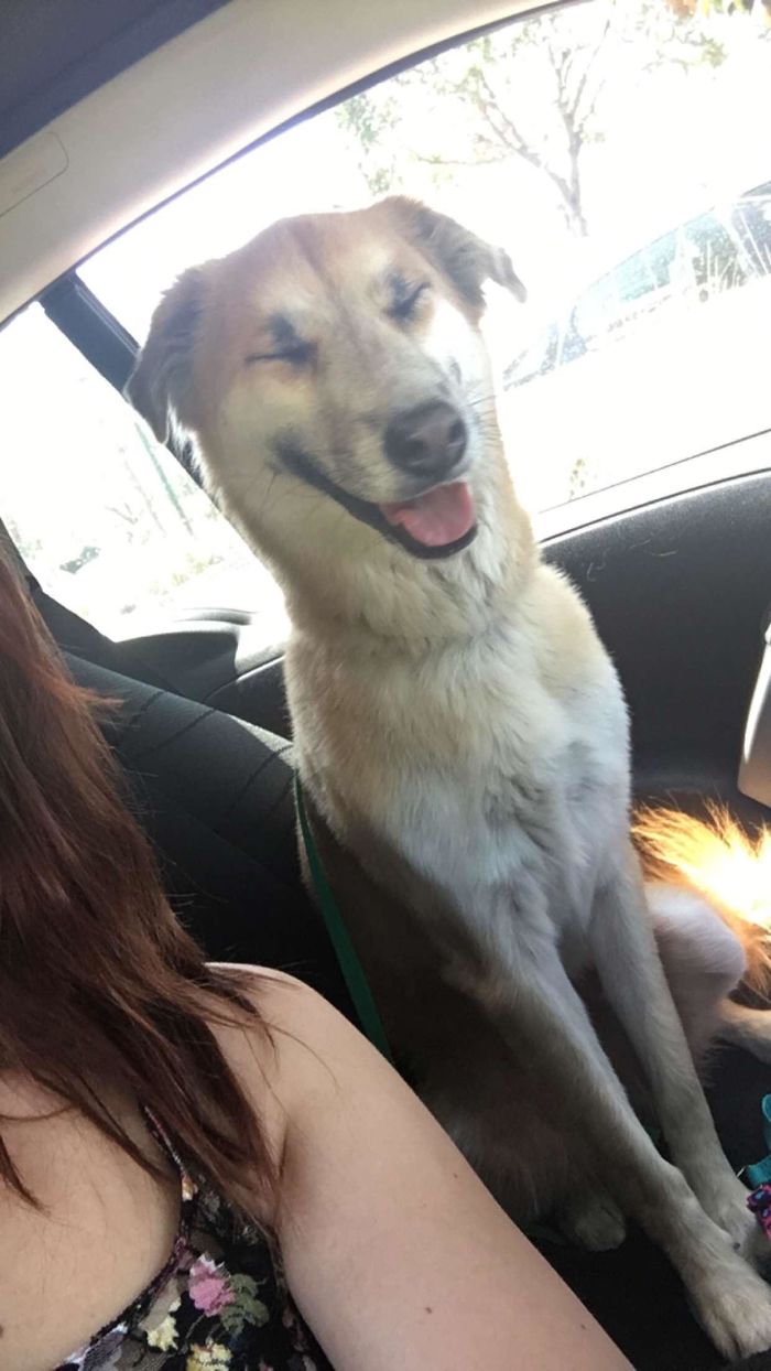 Adopted Toffee Today! She Seemed Extra Happy