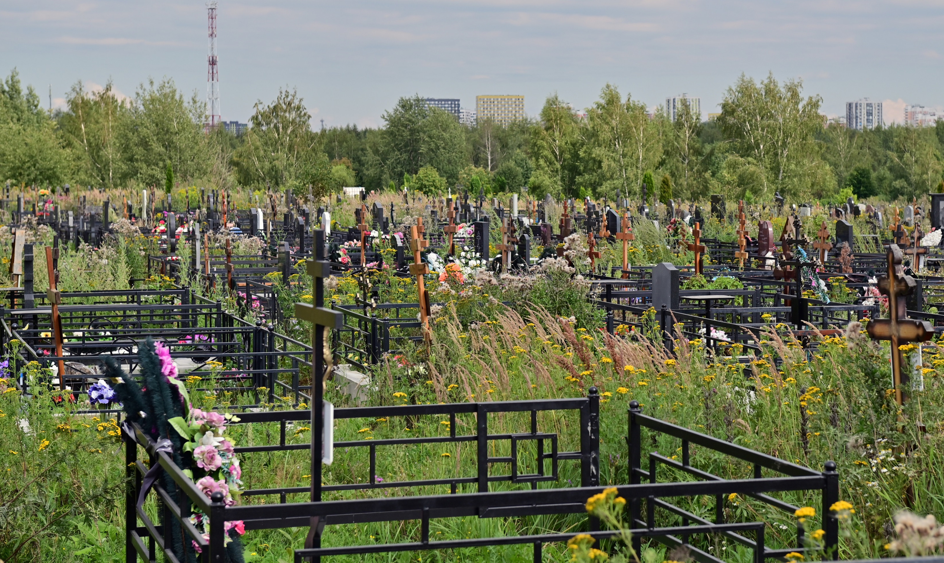 Городское Кладбище Фото