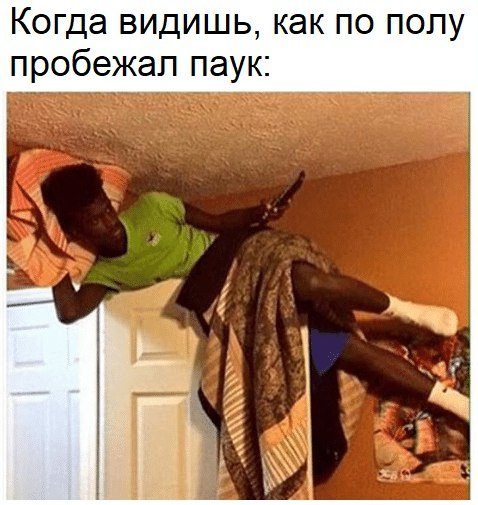 Самые прикольные фотомемы дня!