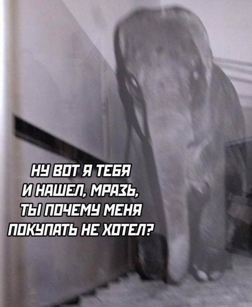 Забавных зверьков вам в ленту! Забавных зверьков вам в ленту!