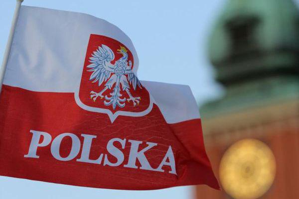 Беларусь предложила Польше закупать электроэнергию с БелАЭС