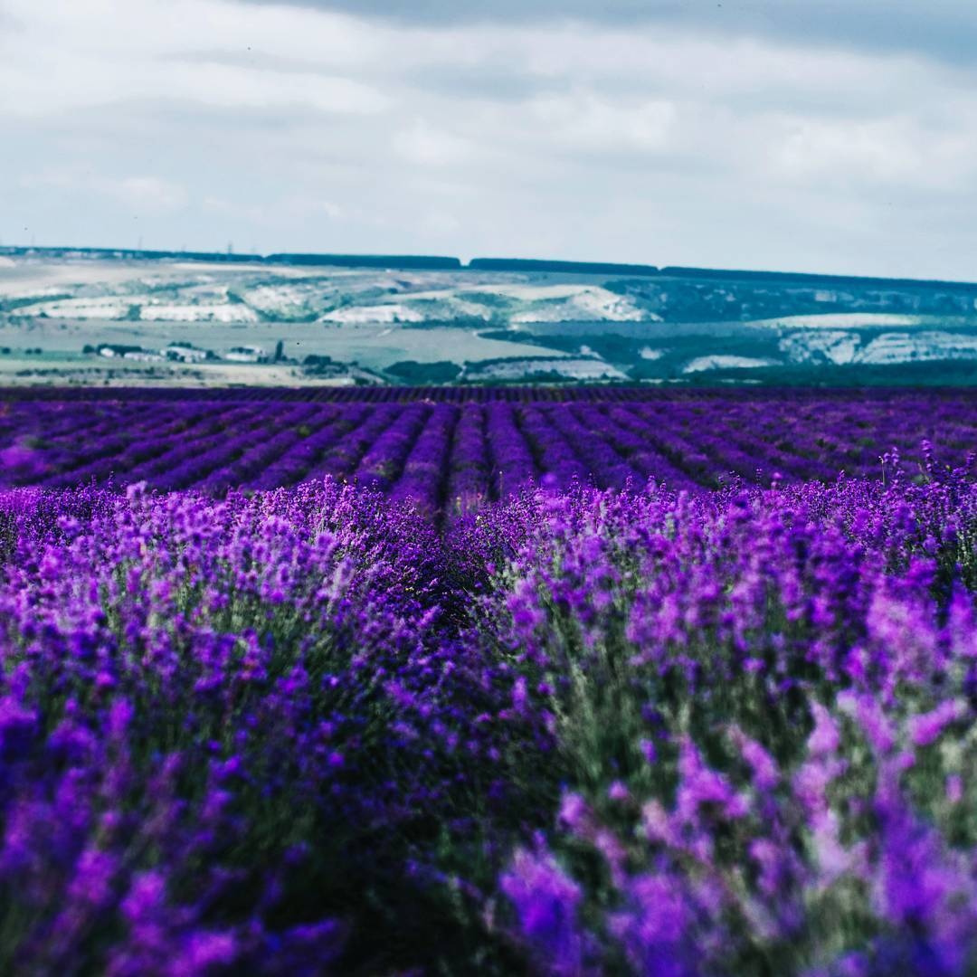 Классные и прикольные фотографии Классные и прикольные фотографии красивые фотографии,прикольные картинки,шикарные фотографии