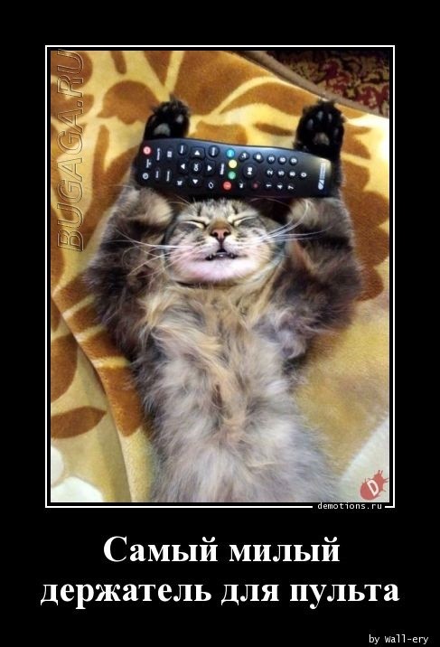 Демотиваторы для всех: «Проснулся, но не весь…» Демотиваторы для всех: «Проснулся, но не весь…»