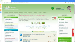 Многообразие видов заработка на seoprint.net