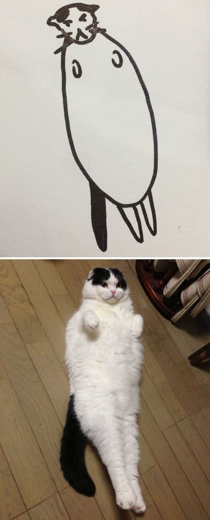 Poorly Drawn Cat